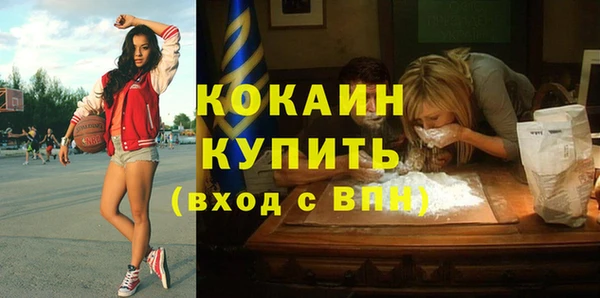 гидра Михайловск