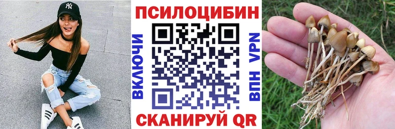 где найти наркотики  Игарка  Псилоцибиновые грибы мицелий 
